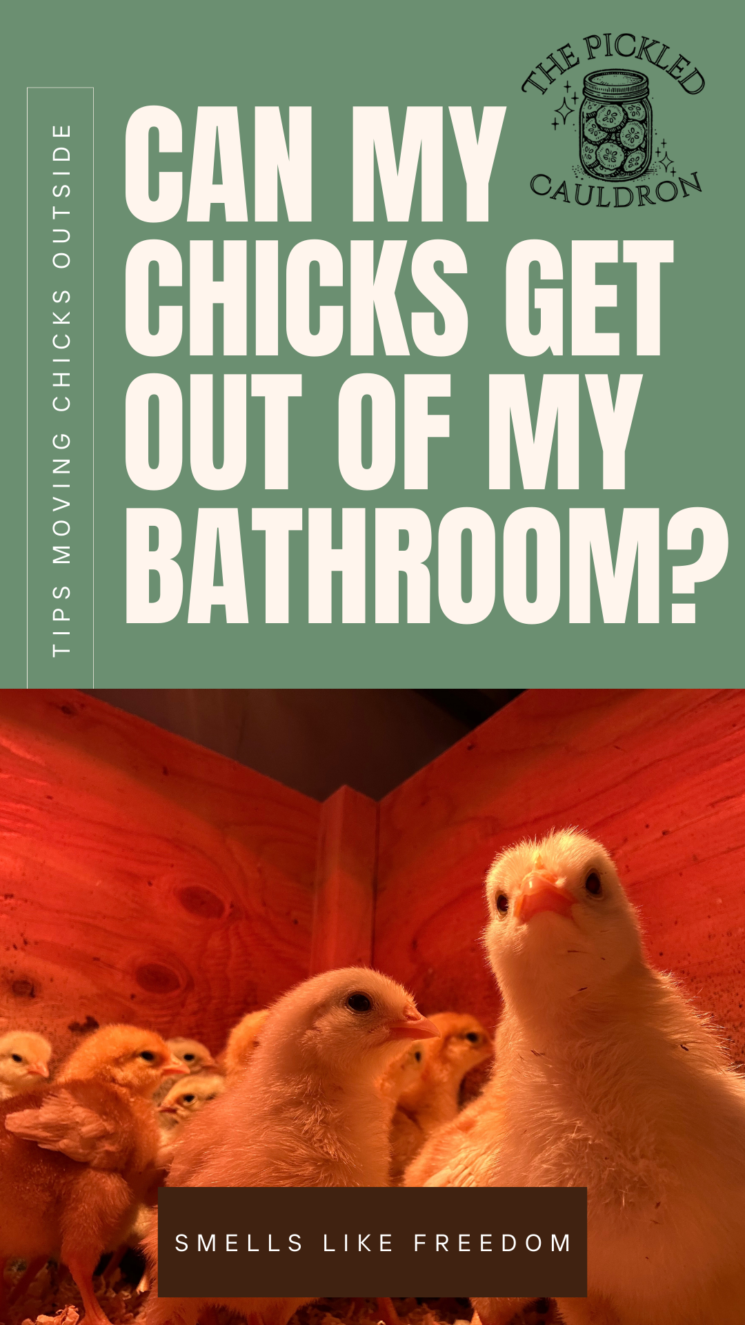 Can My Chicks Get Out of My Bathroom Yet?